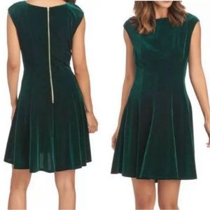 NEW GABBY SKYE  Velvet Gored Fit & Flare Dress Sz  4 super soft stretch gold zip